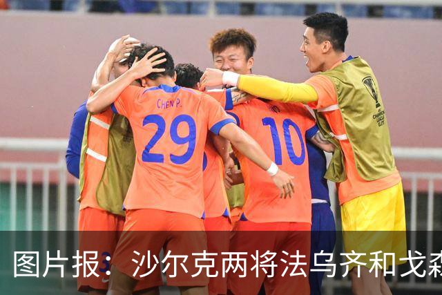 图片报：沙尔克两将法乌齐&戈森斯严重撞伤，将缺席杯赛