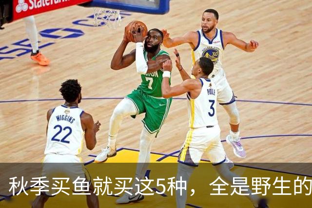 秋季买鱼就买这5种，全是野生的，人工养不了，比养殖鱼更香