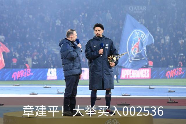 章建平！大举买入002536