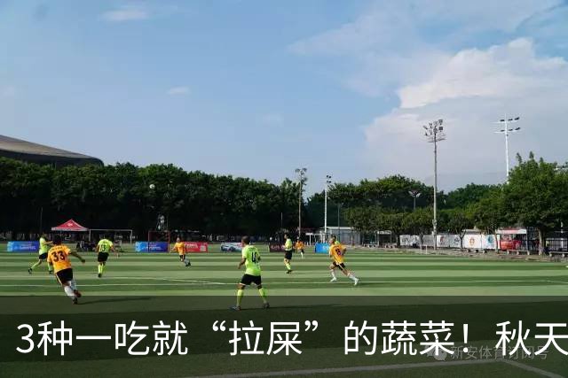 3种一吃就“拉屎”的蔬菜！秋天吃正当时，鲜嫩营养，润燥养人，便便顺畅了，肠道也舒服了！